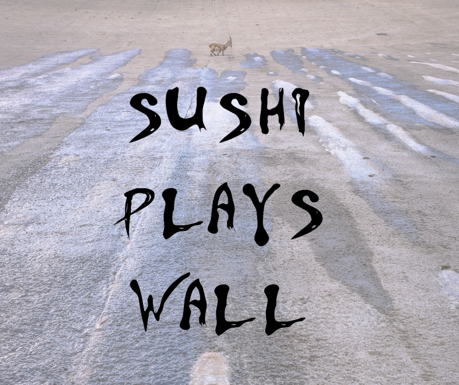 Materiale stampa per “Sushi Plays Wall”, live al Rifugio Curò